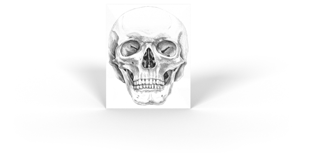 Anatomie-Zeichnung eine menschlichen Schädels – Frontalansicht